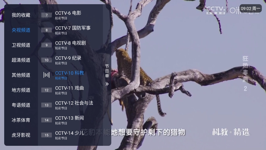 冰红茶TV最新版