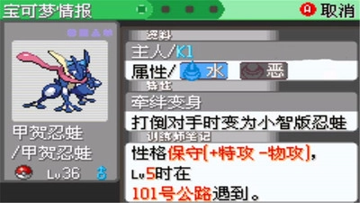 口袋妖怪：刽曜之影游戏图4