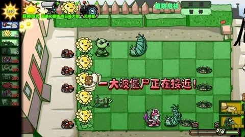 狂野植物战争安卓官方版图3