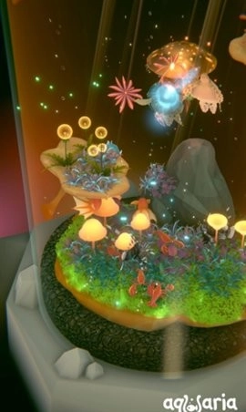 水族馆(3)