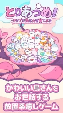 小鸟收集手机版图1