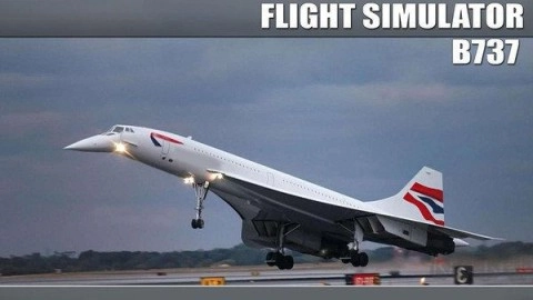 飞行模拟器B737截图2