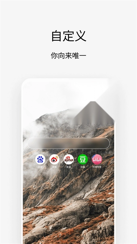 Via浏览器图3