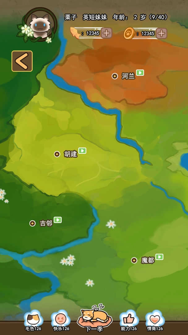 萌猫养成记(1)