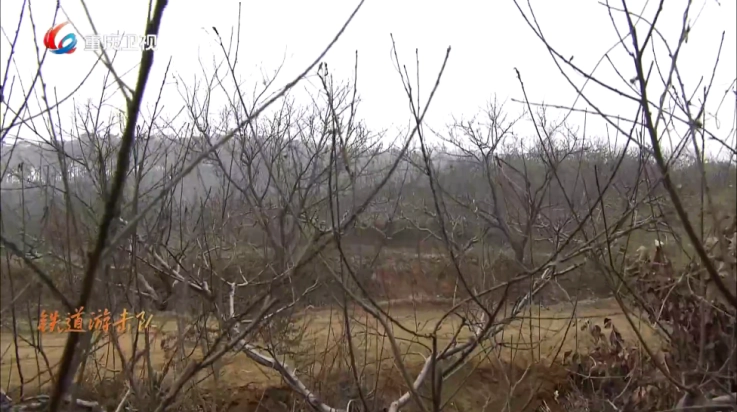 大吉电视TV版图1