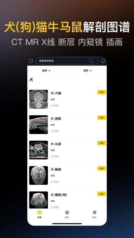 兽医解剖图谱最新版