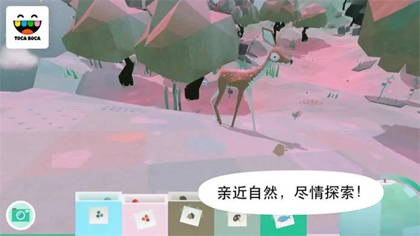 托卡大自然免费图1