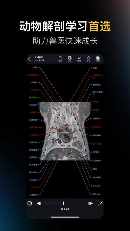 兽医解剖图谱最新版