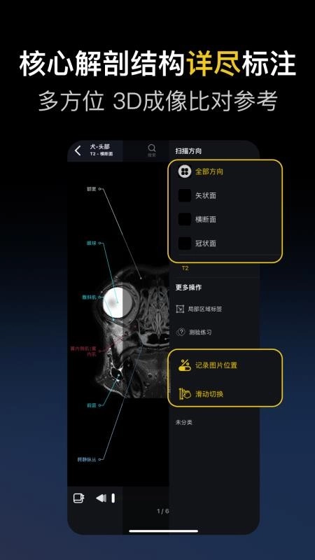 兽医解剖图谱最新版