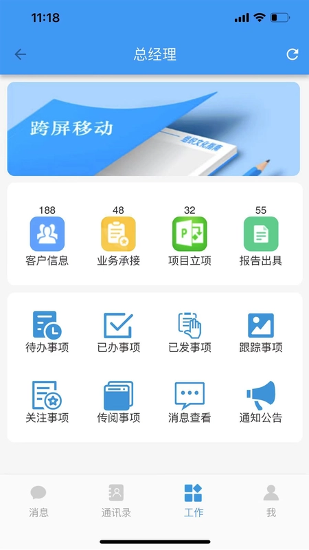 CPAS审计管理图4
