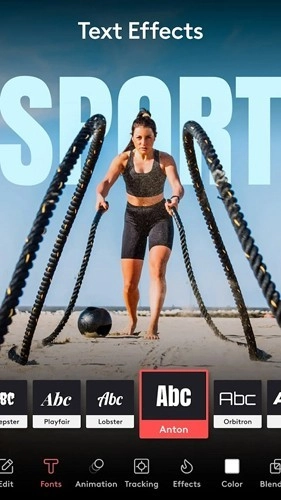 Enlight Videoleap安卓直装版图2