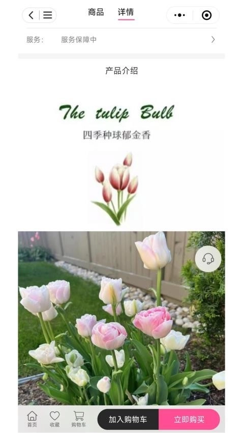 七彩荔枝手机版图1