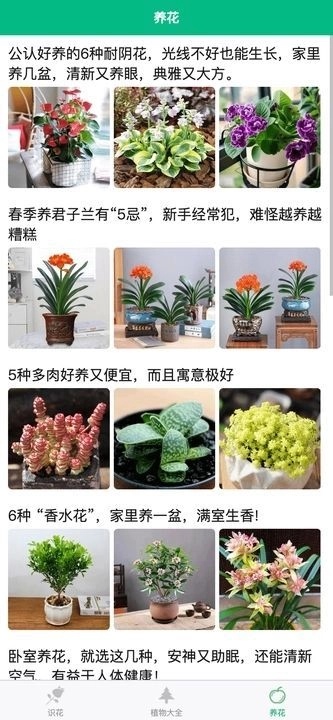 竹馨时光吧图3