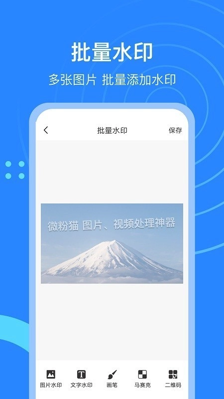 微粉猫-图4