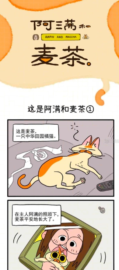 新漫画2026