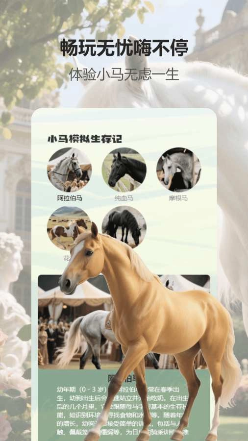 小马游戏模拟器版图2