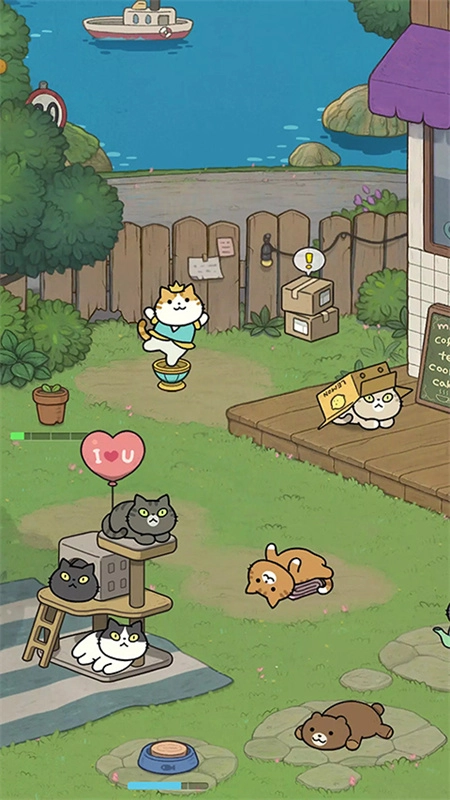 神秘猫咪字典(1)