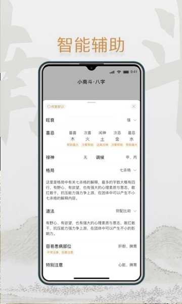 小南斗八字排盘图2