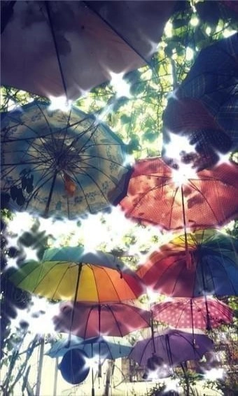 闪闪相机软件图2