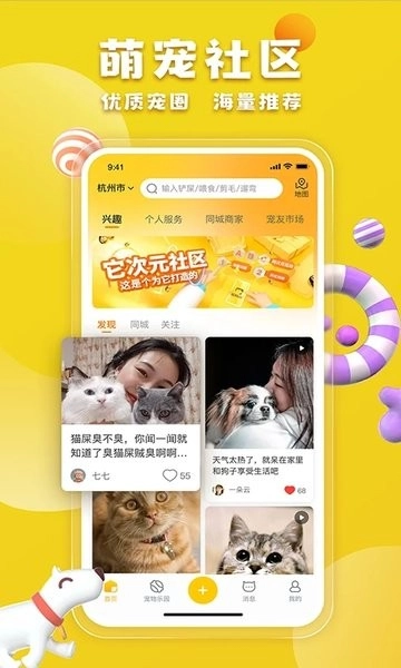 宠胖胖最新版图2