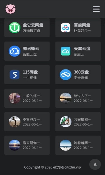 bt磁力猪正版图5