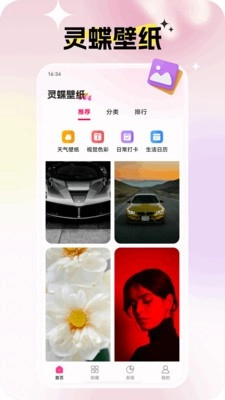 灵蝶壁纸绿色版图3