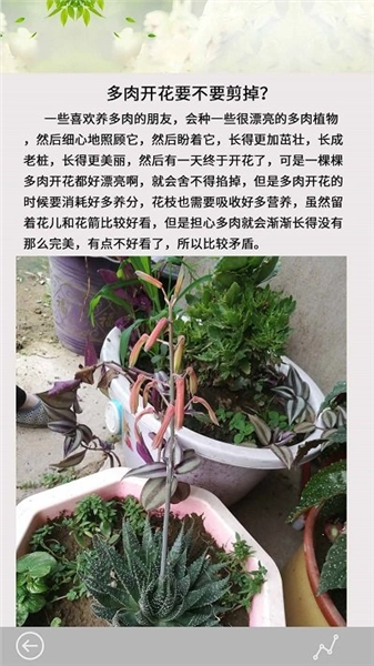 多肉花草日记最新版