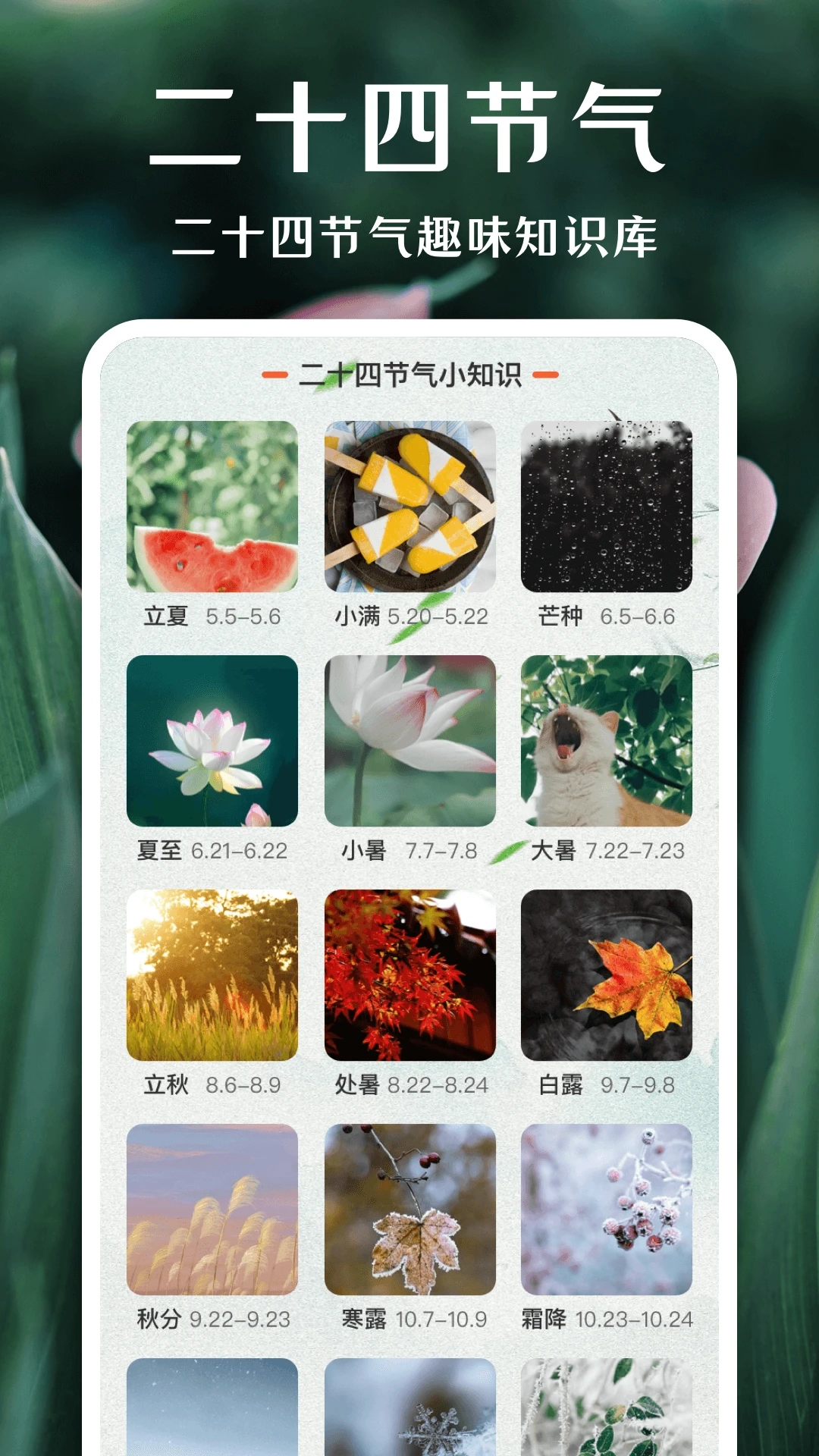 拍照识花软件图5