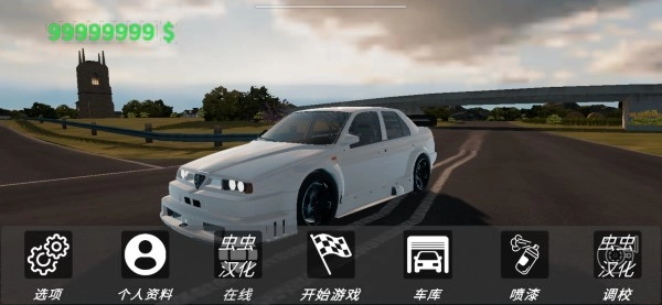 真实汽车驾驶游戏无广告版图2