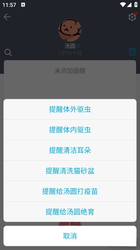猫咪成长记最新版