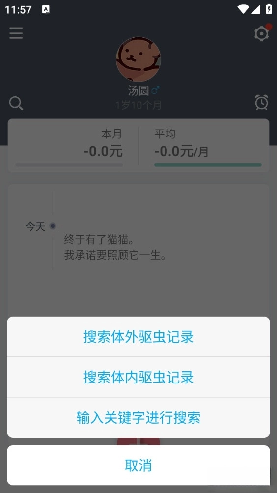 猫咪成长记最新版