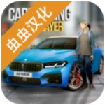 多人停车场 v4.8.5.6