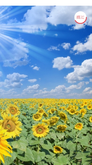 银建出行司机端