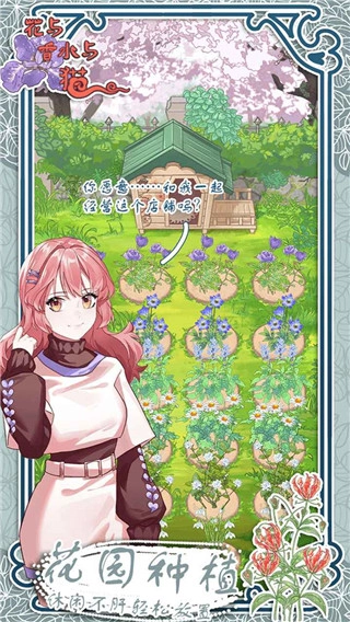 花与香水与猫-图2