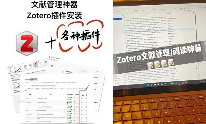 zotero电脑版