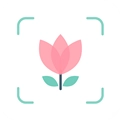 拍照识别植物 V1.1.4