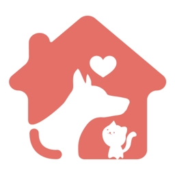 来宠上门喂养服务平台