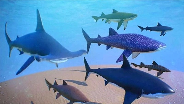 超级海底大猎杀最新版(1)