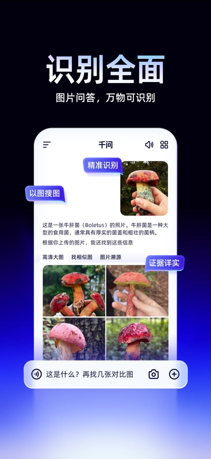 千問截圖3