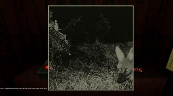 动物观察员正版(3)