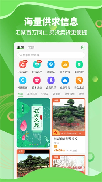 苗木通图4