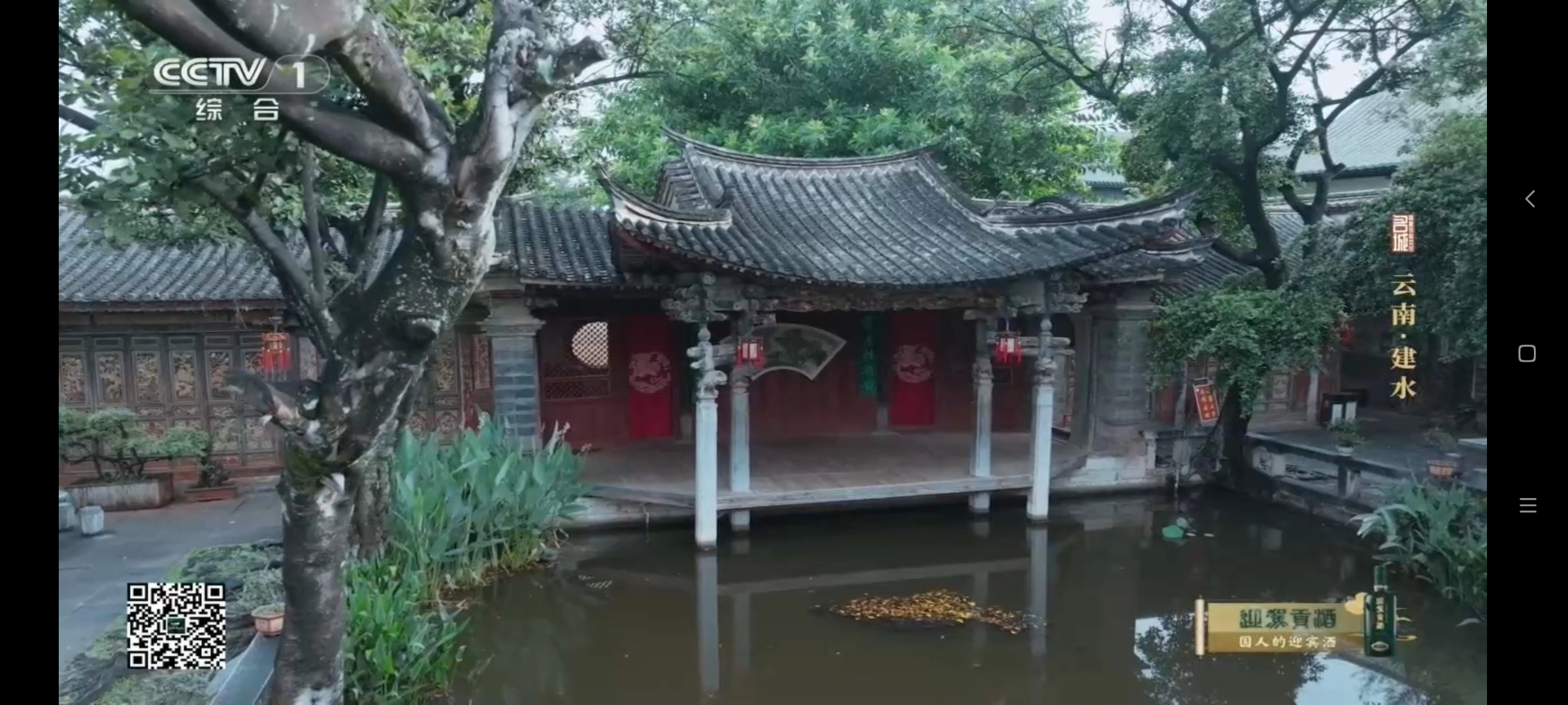 hdtv电视直播免费版截图2