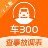 车300二手车