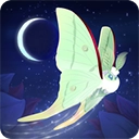 彩翼之星夜菜单