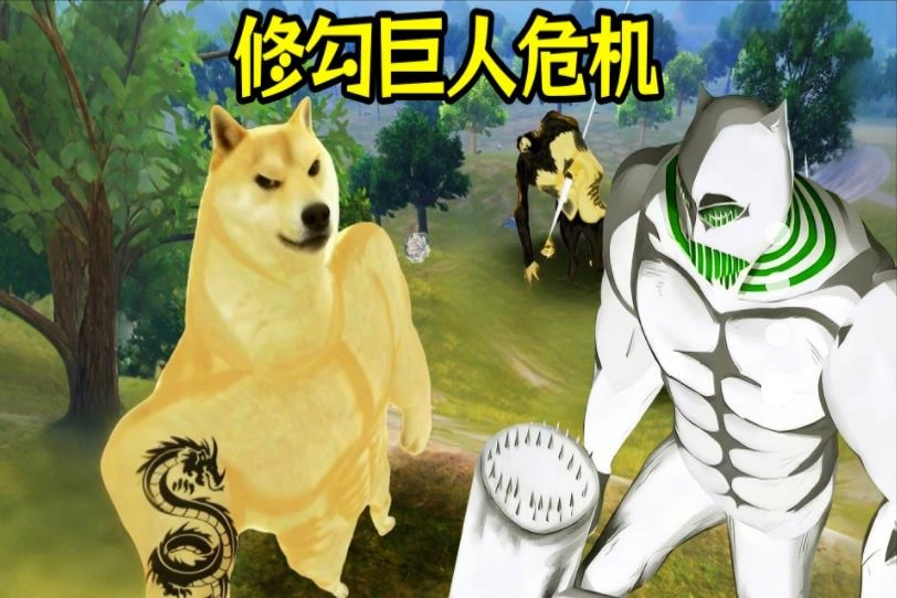 修狗三角行动
