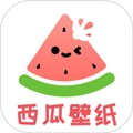 西瓜壁纸助手最新版