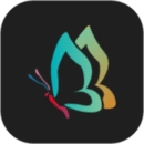 秀秀壁纸手机版