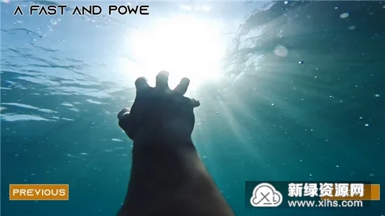 丛林生存模拟器2025最新版(5)