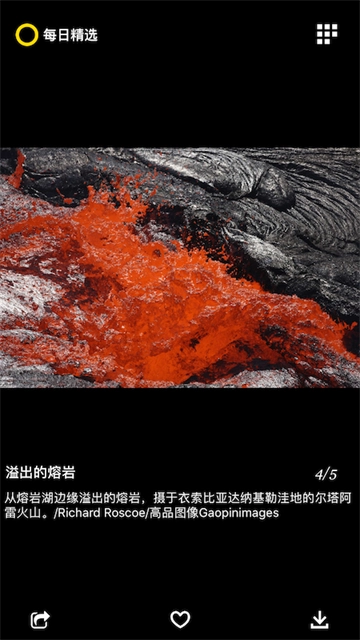 每日精选图4