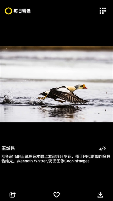 每日精选图2